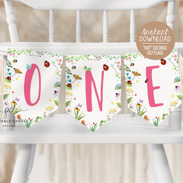 Bug Girl High Chair Banner One Flags Bugs 1st Birthday Party Decor Bee Favors Instant Download Printable Files