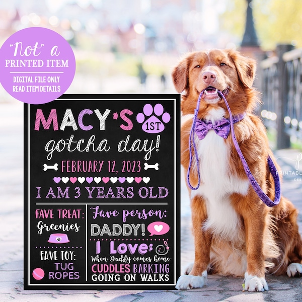 Dog Gotcha Day Sign Puppy 1 year Poster Pet Birthday Stats Sign Pink Purple Rescue Pup Printable File