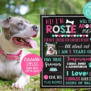 Editable Dog Recue Adopt Me Sign Puppy Shelter Pink Printable Pet Stats Template Rescue Dog Adoption Chalkboard Sign Printable File