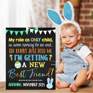 Editable Easter Pregnancy Announcement Big Brother Bunny Sign Promoted to Big Brother Spring Printable Template