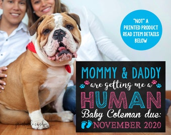 May include: A chalkboard sign announcing a pregnancy with the text "Mommy & Daddy are getting me a HUMAN Baby Coleman due: NOVEMBER 2020". A bulldog dog sits in front of the sign with a red bandana around its neck.