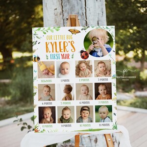Plantilla de póster del primer año del bebé Niño Insecto Editable Año en imágenes Tablero Mariposa Cumpleaños Collage de fotos Letrero Descarga instantánea Imprimible