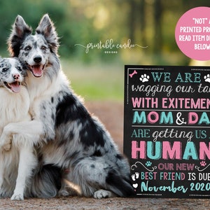 Schwangerschaftsankündigung Hunde Mehrere Zeichen neue Bester Freund immer ein menschliches Fälligkeitsdatum Poster Druckbare Datei