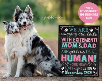 May include: A chalkboard sign with the text "We are wagging our tails with excitement! Mom & Dad are getting us a... HUMAN! Our new best friend is due November 2020." Two dogs, a black and white border collie and a white and black border collie, are sitting in front of the sign.