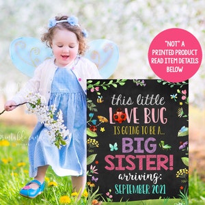 Spring Big Sister Announcement Pregnancy Photoshoot Love Bug Promoted to Big Sis Sign Flowers Garden Printable File