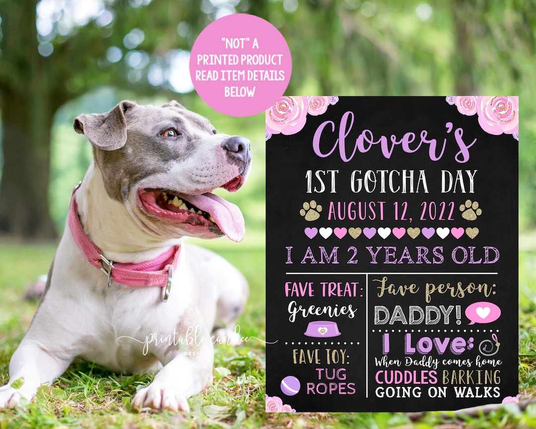 Dog Gotcha Day Sign Puppy 1 Year Poster Pink Floral Pet Birthday Stats ...