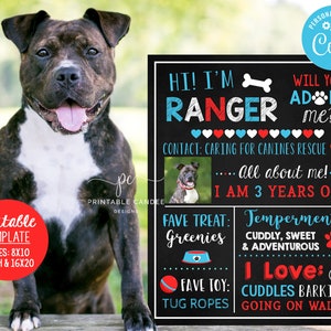 Editable Dog Recue Adopt Me Sign Puppy Shelter Printable Pet Stats Template Rescue Dog Adoption Chalkboard Sign Printable File