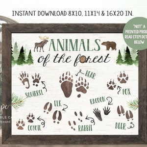 Animals of the Forest Printable Sign Nursery Decor Woodland Party One ...