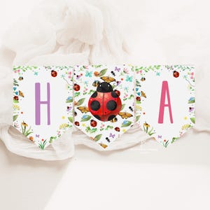 Editable Girl Bug Flag Banner Insect Party Flags Pink Bugs Theme Butterfly Decor Template Printable PBGT