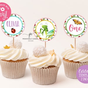 Bug Cupcake Toppers Girl Bug Birthday Party Decor Bee Ladybug Butterfly Instant Download 2 inch Editable File Printable