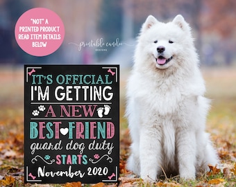 May include: A black chalkboard sign with white text that reads "It's official I'm getting a new best friend guard dog duty starts November 2020". A white Samoyed dog is sitting in front of the sign in a grassy area with fall leaves.