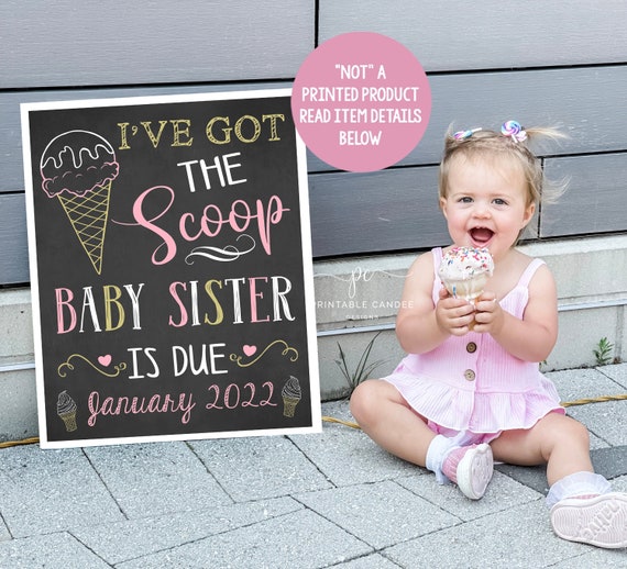 pink-big-sister-announcement-pregnancy-photoshoot-prop-promoted-to-big