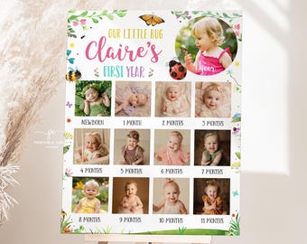 Editable Baby's First Year Poster Girl Bug Editable Year In Pictures Board Butterfly Birthday Photo Collage Sign Printable Template PBGT