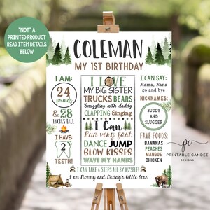 Camping First Birthday Stats Sign Woodland Smores Chalkboard Milestone Poster Bear Party Decor Printable