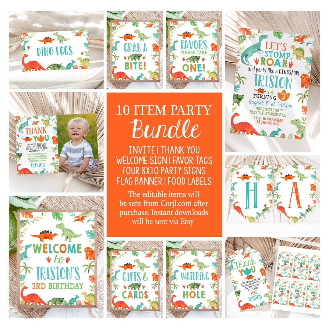 Editable Boy Dinosaur Party Bundle White Dino Theme Birthday Decor ...