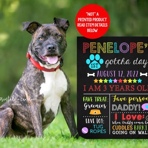 French Bulldog Birthday Dog Adoption French Bulldog Banner Gotcha Day Banner Frenchie Birthday Banner Doggy Love Puppy Love French Bulldog Birthday Dog Adoption French Bulldog Banner Gotcha Day Banner Frenchie Birthday Banner Doggy Love Puppy Love