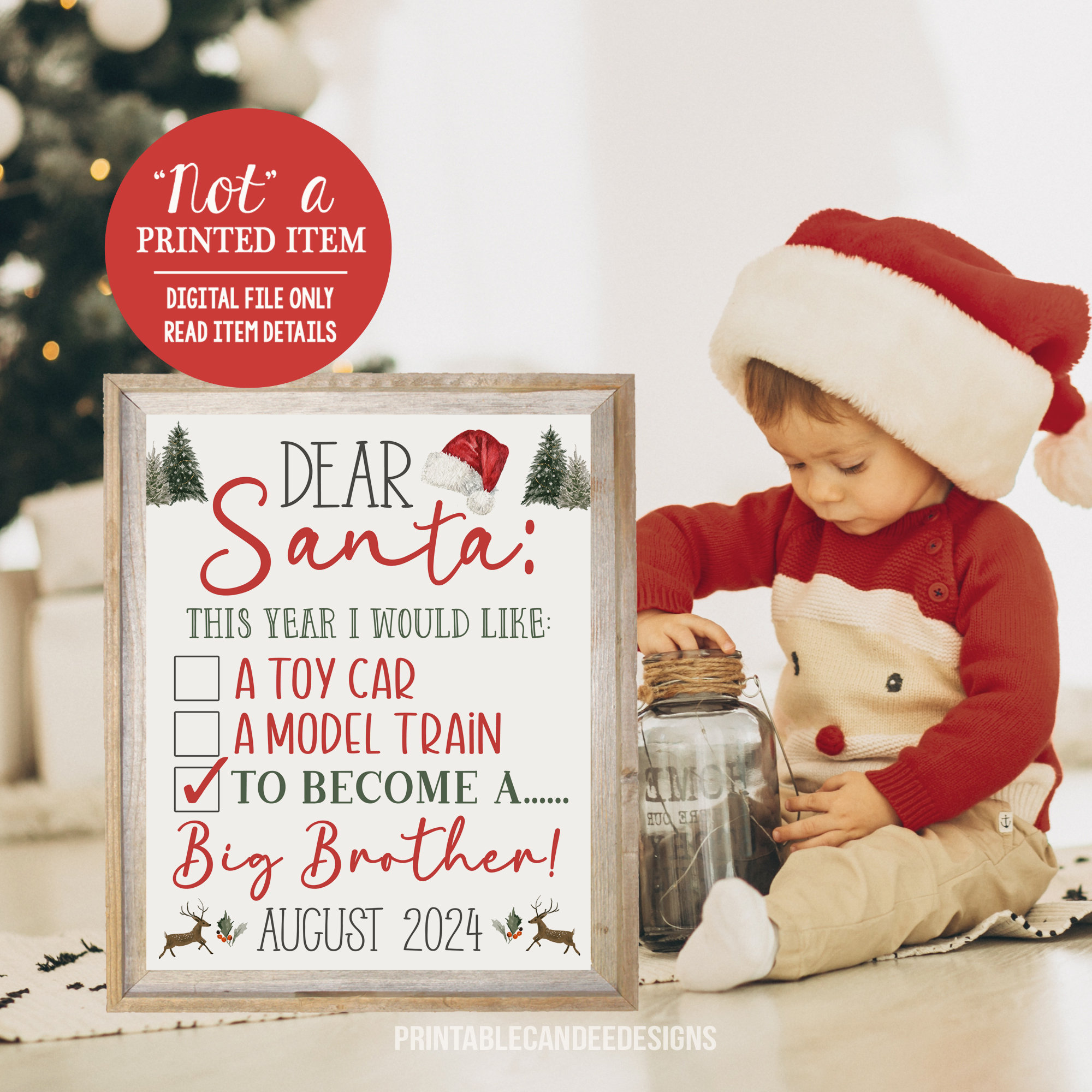 Santa Mouse | Big Brother Santa Mouse | Big Brother