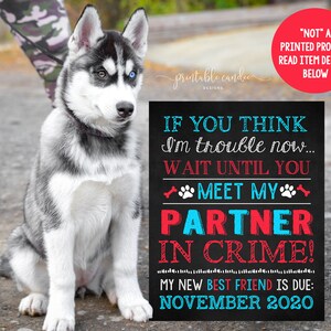 Schwangerschaft Ankündigung Hund Zeichen neuer bester Freund Partner in Crime Due Date Poster druckbare Datei