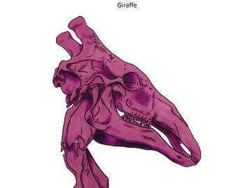 Giraffe Digital Hand Embroidery PDF Pattern