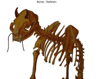 Bones - Skeleton Digital Hand Embroidery PDF Pattern