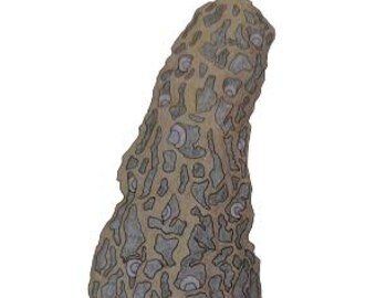 Mushrooms 1 Digital Hand Embroidery Pattern PDF