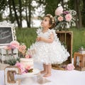Butterfly Tulle Dress Girls, Birthday Photo Dress - Flower Girl Dress, Toddler Butterfly Party Dress, Kids Boho Garden Wedding Dress