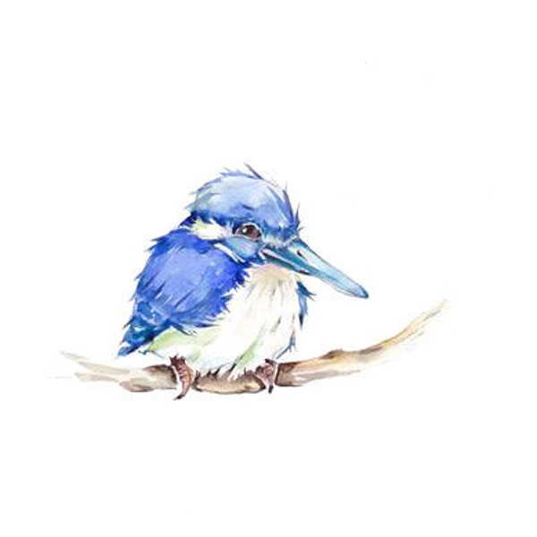 Aceo Print from ORIGINAL Little KINGFISHER  detailed painting