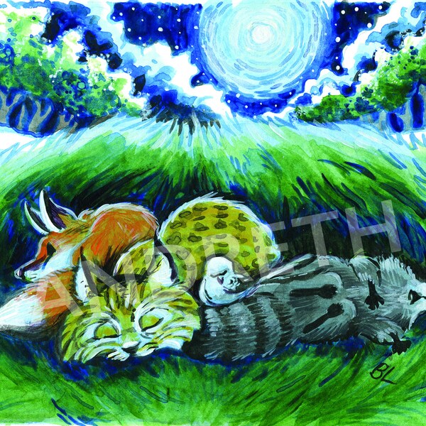 Chickasaw Clan Buddies 4 -  Animals, Cute, Native American, Chickasaw, Fun, Education, Fox, Raccoon, Bird, Wildcat, Clan, Watercolor, Print