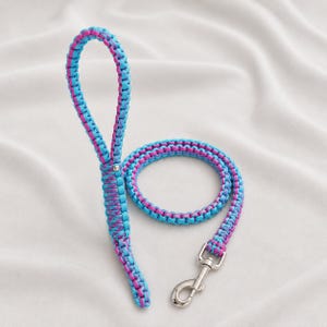 Peut inclure: Une laisse pour chien tressée, aux couleurs bleu et rose. Elle est dotée d'une poignée en boucle et d'un mousqueton en métal. La laisse est fabriquée dans un matériau tissé résistant. Pour chiens de petite et moyenne taille.