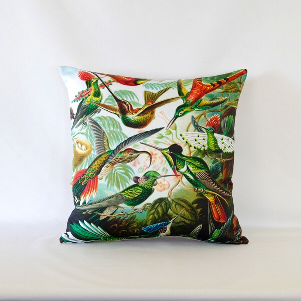 Haeckel's Hummingbirds Pillow - Vintage Natural Science Art Printed on Fabric