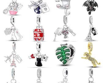 925 Sterling Silver Reseexamen Berlocker Passar Pandora Pass Flygplan Katt Hund Kamera Bok Musik Dingla Pärla Personliga Smycken Gåva