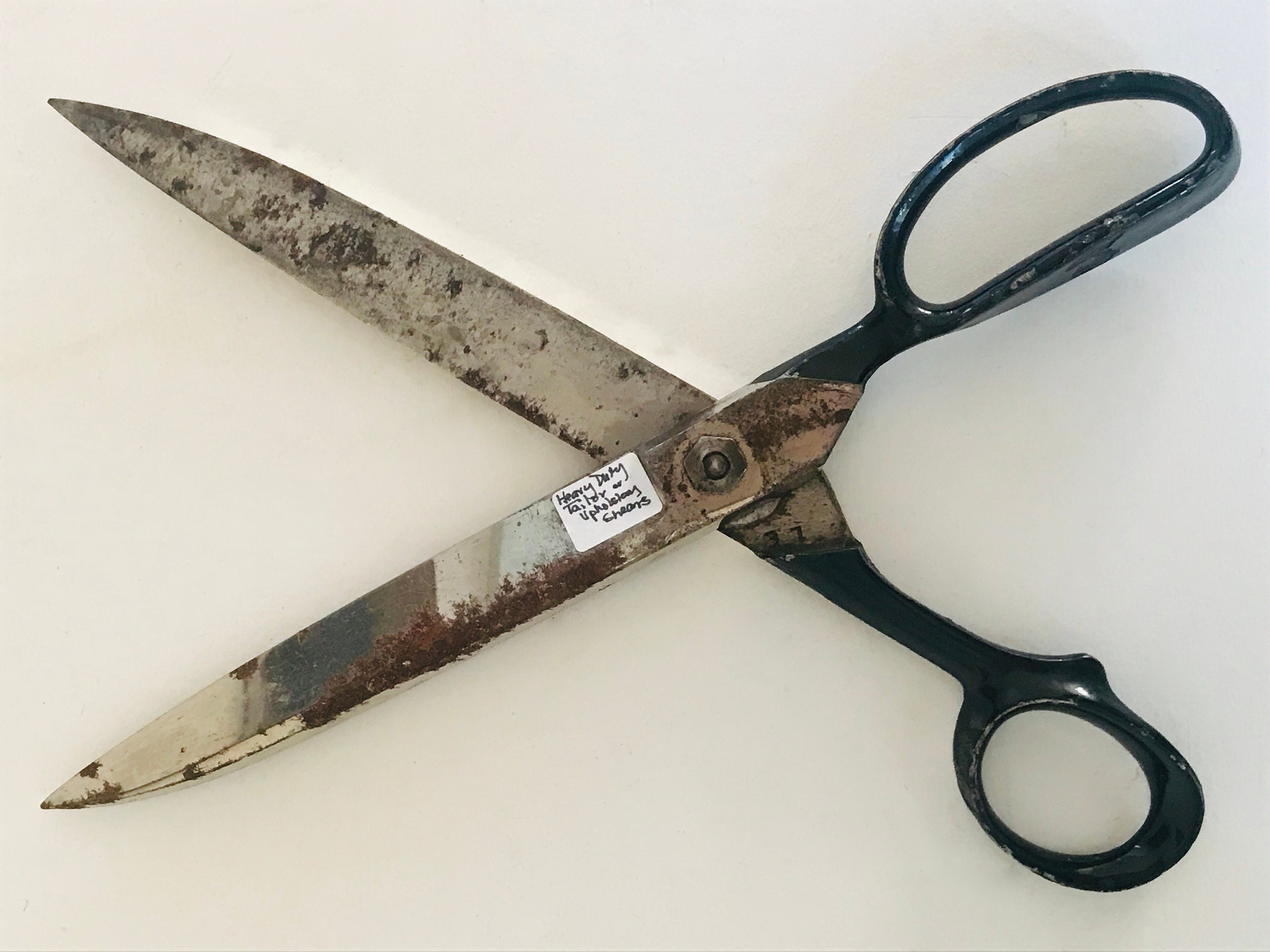 English Antique Huge Shears Scizzors Industrial