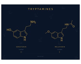 Serotonin Melatonin Print | Navy Gold Day Night Molecule Duo | Neuroscience Landscape Wall Art