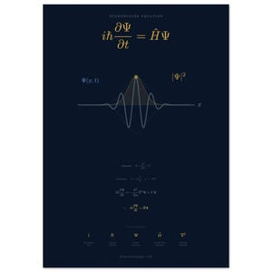 Schrödingergleichung Poster | Navy Gold Quantum Wellenfunktion Kunst | Physik Poster | PhD Physik Abschluss Geschenk
