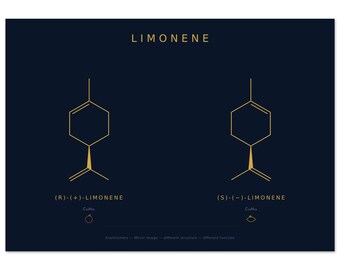 Limonene Enantiomers Print | Navy Gold Chemistry Art | Why Oranges and Lemons Smell Different | Chirality Poster | Organic Chemistry Gift