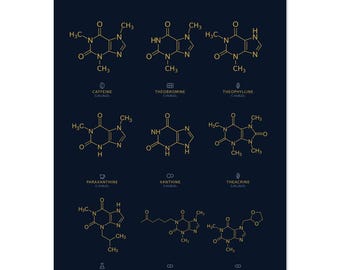 The Xanthine Family Print | Navy Gold Chemistry Poster | Caffeine Theobromine Molecular Art | Science Teacher Gift | Methylxanthine Wall Art