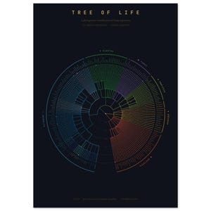 May include: A dark poster titled TREE OF LIFE featuring a circular phylogenetic classification chart of living organisms. The diagram uses coloured lines radiating from a centre point to represent various species, with text labels for major groups.