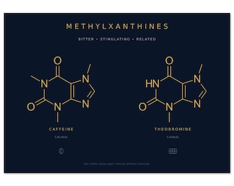 Cafeïne theobromine print | Koffie Chocolade Molecuul Duo | Minimalistische marinegouden chemische kunst aan de muur