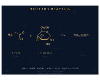 Maillard Reaction Print | Navy Gold Food Chemistry Art | Browning Reaction Poster | Chef & Chemist Wall Art Gift