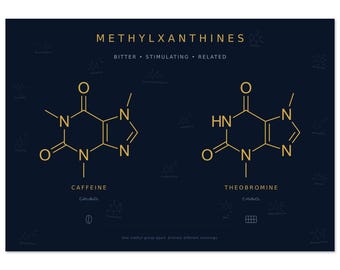 Cafeïne theobromine Art Print | Koffie Chocolade Chemie Duo | Marinegouden muurkunst methylxanthine