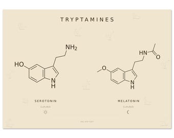 Serotonin Melatonin Print Parchment | Vintage Day Night Molecule Duo | Apothecary Neuroscience Landscape Art