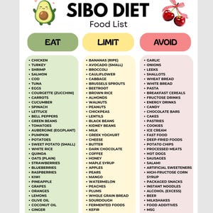 SIBO Food List Printable PDF Eat Limit Avoid Chart Low Fermentation Guide