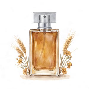 May include: Watercolor illustration of a rectangular perfume bottle with a silver cap. The bottle is filled with a golden liquid and is surrounded by wheat stalks and small yellow flowers, set against a white background.