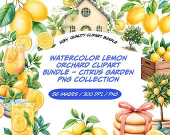 Clipart cocktail d'été à l'aquarelle - Collection PNG de boissons tropicales pour mariages et réceptions