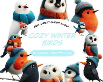 Bundle de clipart oiseaux d'hiver douillet, mignon oiseau d'hiver PNG Collection, aquarelle oiseaux enneigés, clipart animaux de la forêt de Noël