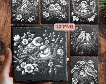 Vogelnest PNG Bündel für Schiefergravur | Vogel Baby Laser Dateien | 12 Vogel-Untersetzer Designs | Glühschmieden xTool PNG