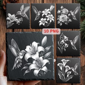 Kolibri-laserfiler, blommig fågel skifferunderlägg PNG, skiffergravyrdesigner, digital nedladdning