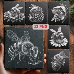 May include: Set of six square black slate coasters with detailed white illustrations of bees. Designs include bees on flowers, honeycomb, and a bee drinking. The text "12 PNG" is visible on one coaster.