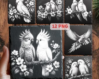 Paquete de PNG de loros / Archivos de grabado láser para posavasos de pizarra / PNG de cacatúa y guacamayo / Glowforge xTool LightBurn / 12 PNG