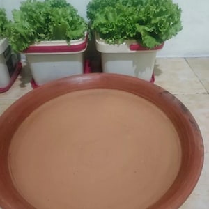 May include: A terracotta-colored, round, shallow dish sits in the foreground. Behind it, two white planters with red trim hold vibrant green lettuce. The scene suggests a home gardening setup.